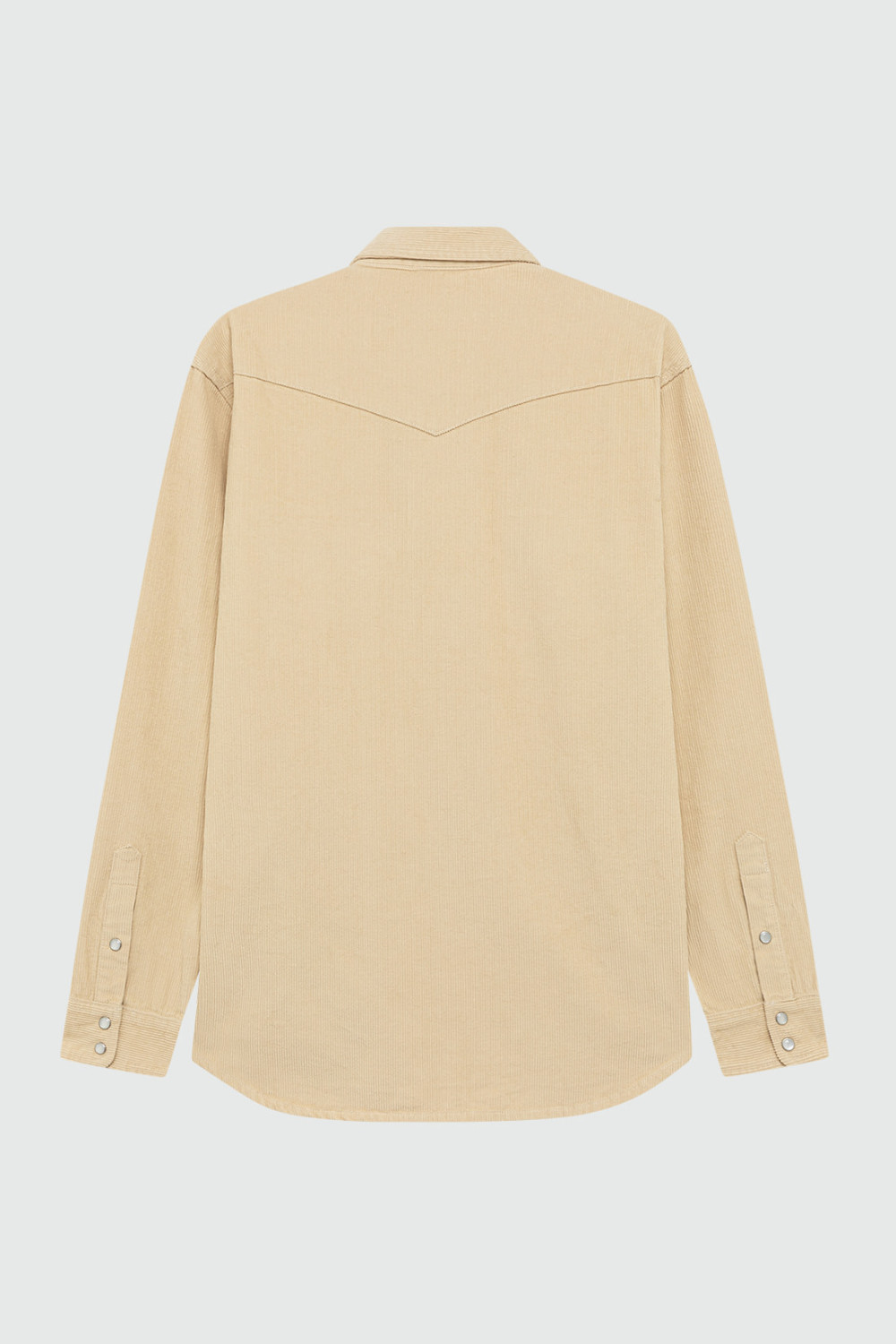 ROY ROGERS: DALTON SHIRT IN VELVET