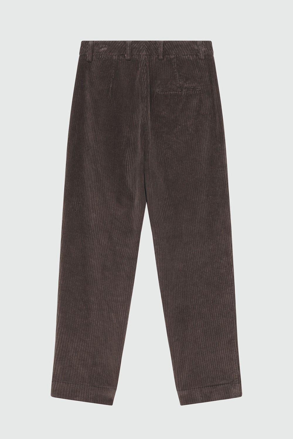 ROY ROGERS: PANTALONE CHINO MAEMI IN VELLUTO